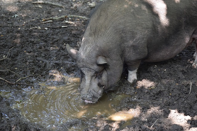 李磊一直以 李磊一直以