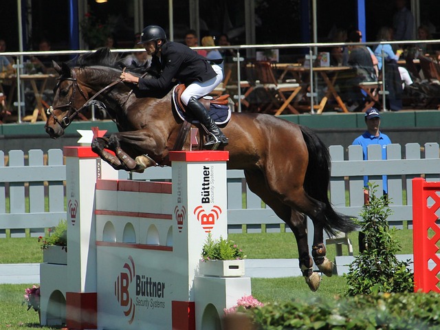 中国企业与 中国企业与