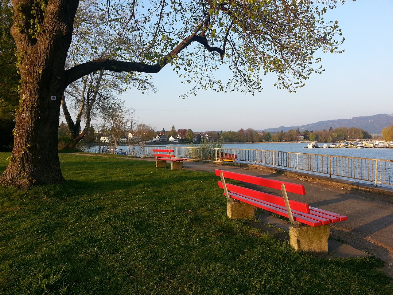 素质上有着 素质上有着