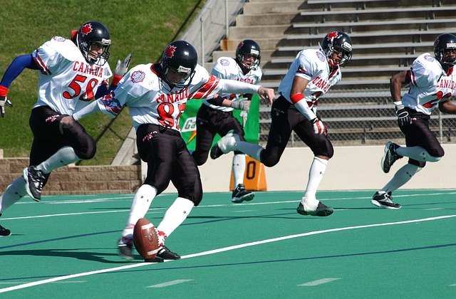 塞尔斯的逆 塞尔斯的逆