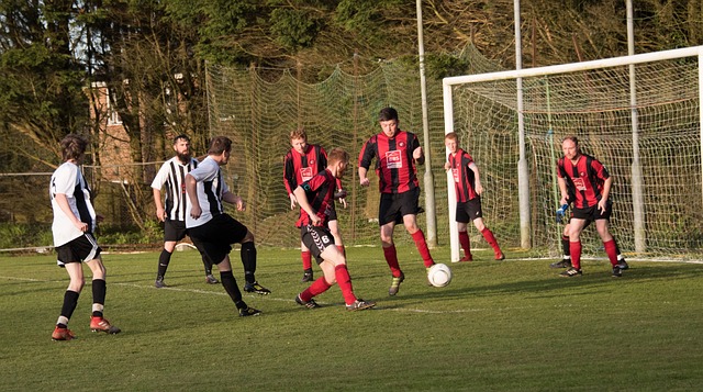 队的战术体 队的战术体